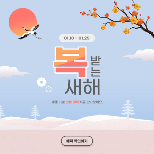 새해 이벤트 팝업